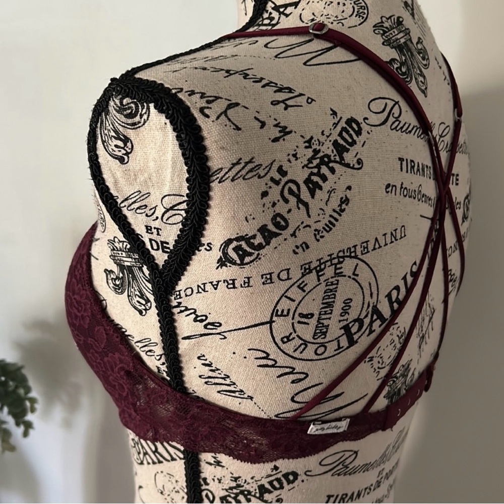 Gilly Hicks Dark Red Lace Bralette with Floral Embroidery - Picture 3 of 6